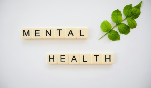 Benefits of Pursuing a Master’s in Mental Health and Wellness