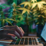 The Ultimate Guide To Finding the Right Cannabis Dispensary